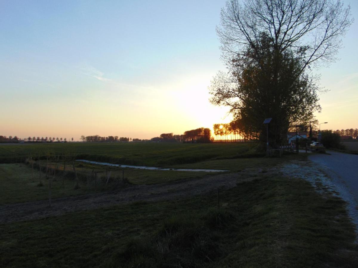 Polderhuis Voor 8-10 Personen Aan Zee Nieuwvliet Exterior foto