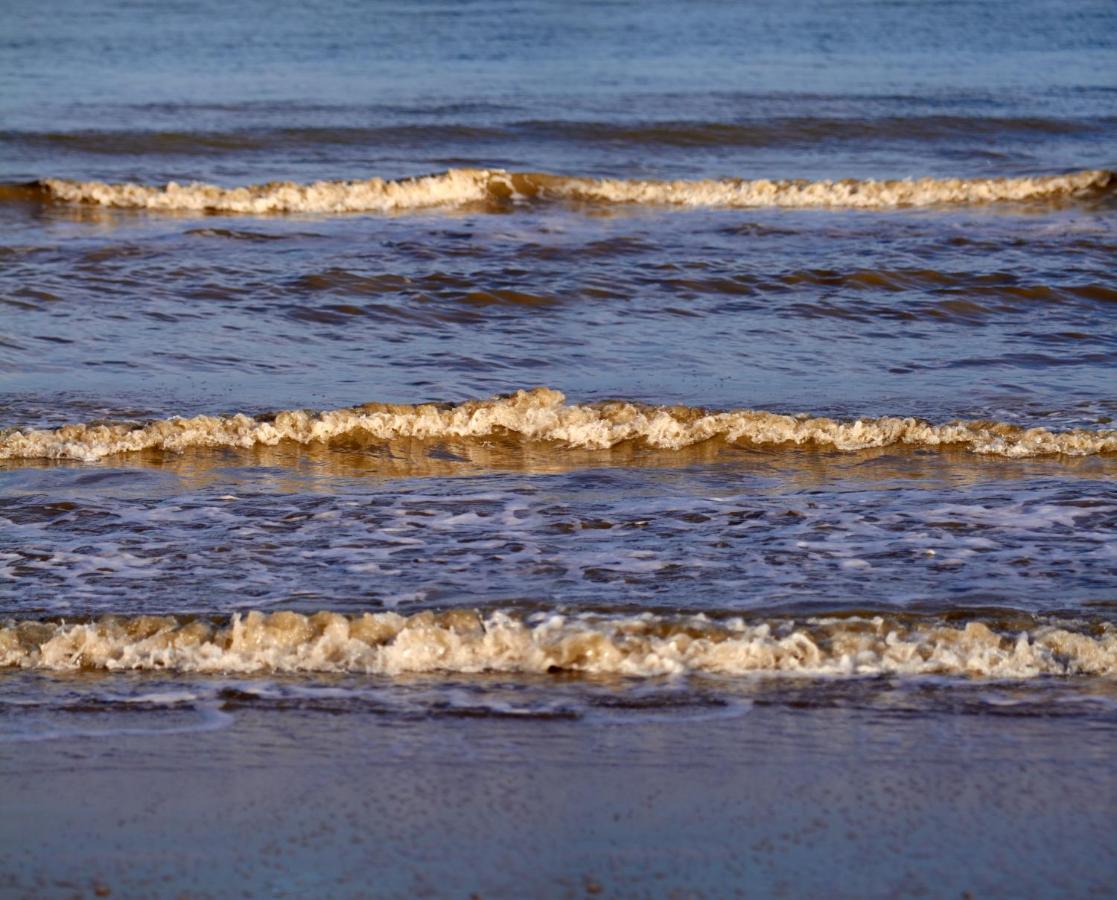 Polderhuis Voor 8-10 Personen Aan Zee Nieuwvliet Exterior foto